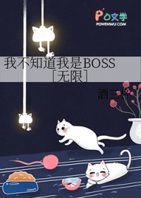 我不知道我是BOSS